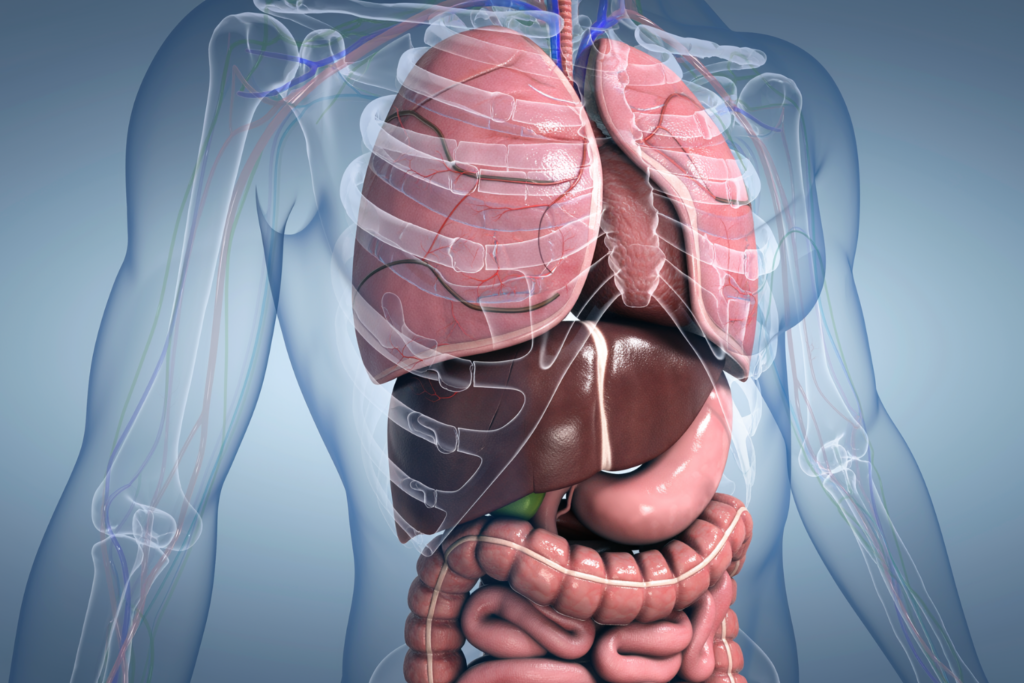 what is ligma disease