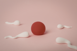 sperm health on mind and body