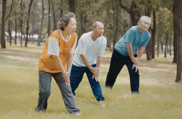 Supplements for senior citizens