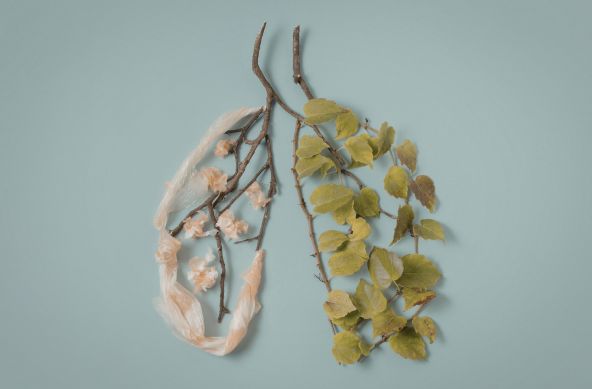 pollution and lungs health